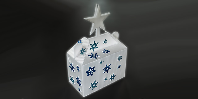 Mehrweg Geschenkverpackung Weihnachten Motiv Stern dekoriert Schenkmehrweg