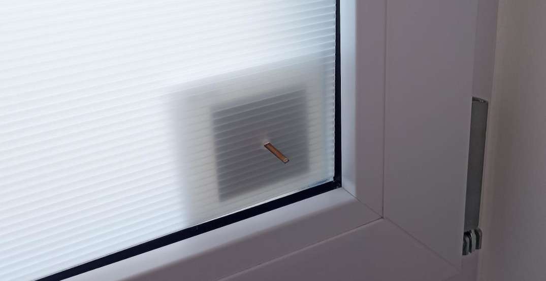 Klebepatch-fuer-Glaspin-mit-Pin-und-PP-Platte-Befestigung-Fensterschutz-aus-PP-1075-555