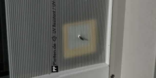 PPProtect-Glasspin-mit-Platte-aussen-640-320